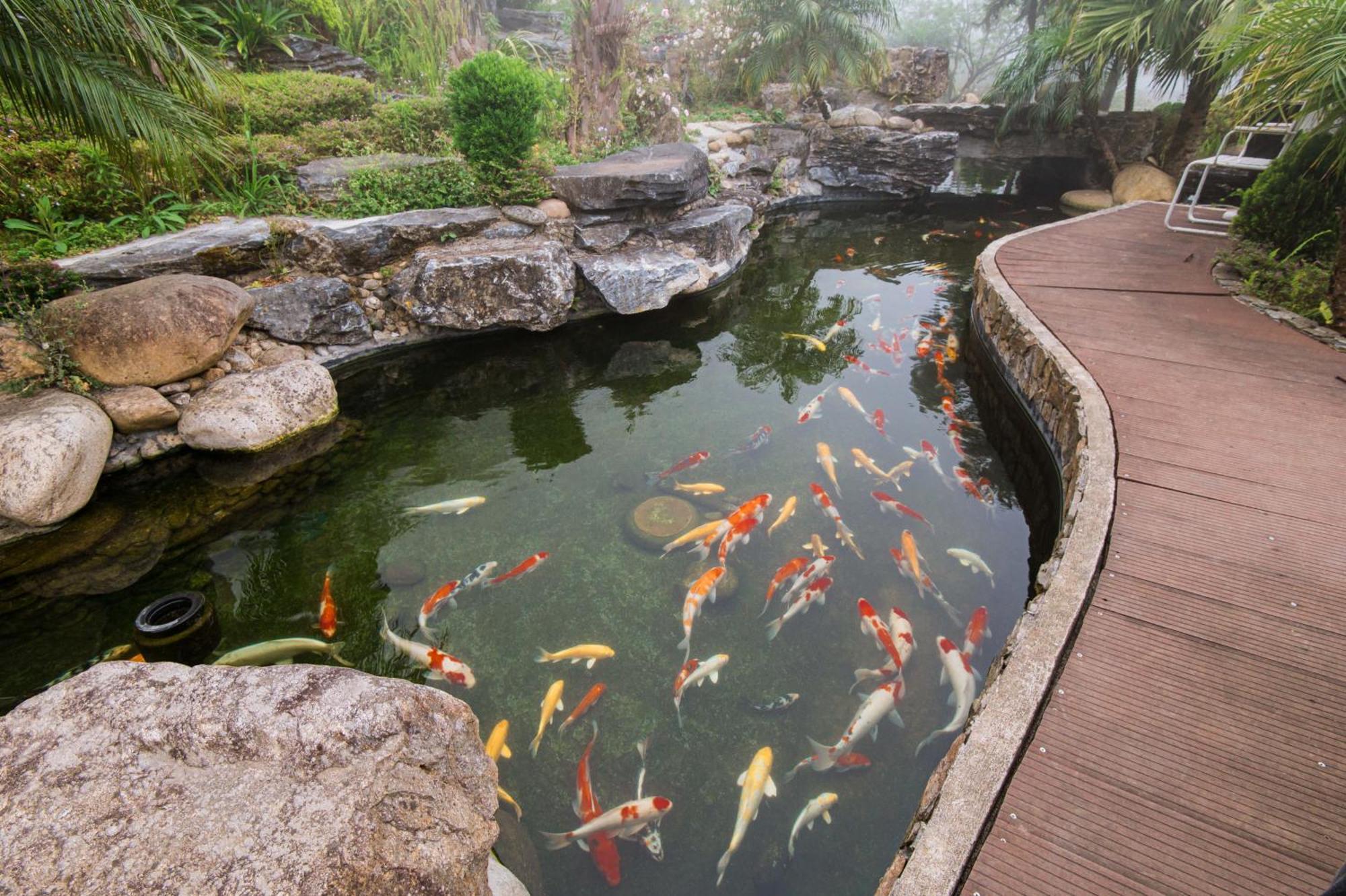 Sapa Catcat Hills Resort & Spa Bagian luar foto